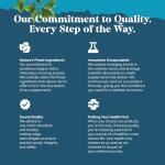 Brain Booster Supplement for Memory and Focus