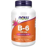 NOW Foods Vitamin B-6 100 mg for Heart Health