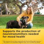 Nature Made Vitamin B6 100mg for Energy Support