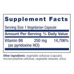 Life Extension Vitamin B6, 250 mg, 100 Capsules