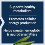 Life Extension Pantothenic Acid 500 mg Capsules