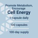 Life Extension Pantothenic Acid 500 mg Capsules