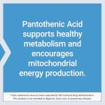 Life Extension Pantothenic Acid 500 mg Capsules