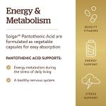 Solgar Pantothenic Acid 550mg Capsules, 100 Count