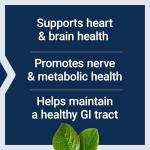 BioActive Folate & Vitamin B12 for Heart Health