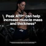 Muscletech Nitric Oxide Muscle Builder Capsules