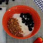 Set of 6 Multicolored Chelsea Porcelain Bowls