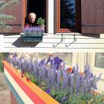 10 Bundles of Purple Faux Lavender Flowers