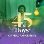 Air Wick Lavender Almond Blossom Essential Mist Kit