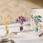 Clean Linen and Ocean Mist Reed Diffuser Set