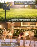 10FT Solar Fairy Lights with 8 Lighting Modes