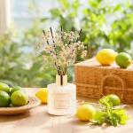 Clean Linen Reed Diffuser Set for Home Decor