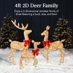4ft Lighted Christmas Deer Family Set for Outdoors