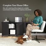 Vintage Black Salinas Accent Storage Cabinet