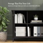 Vintage Black Salinas Accent Storage Cabinet