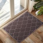 Welcome Door Mat for Entryway, 24x36 Size