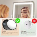 LED Vanity Mirror with Lights and 10X Magnification