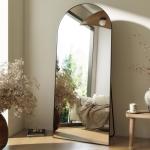 HARRITPURE 64"x21" Arched Full Length Mirror, Black