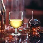 Abby Stacy 12-Oz Stackable Plastic Wine Glasses