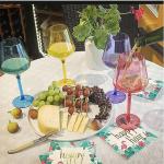 Colored Stemmed Acrylic Wine Glasses Set of 4