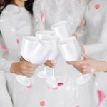 Set of 6 Unbreakable Acrylic Wine Glasses