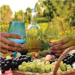 Colored Stemmed Acrylic Wine Glasses Set of 4