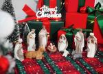 10-Piece Christmas Nativity Set with Manger and Animals