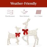 Lighted 3-Piece Christmas Deer Family Yard Decor