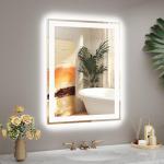 Callsky 20x28 LED Bathroom Mirror with Lights, Super Bright Front & Backlit Vanity Mirror for Wall, Anti-Fog & Memory Smart Mirror, 5mm Shatter-Proof Tempered Glass, ETL Listed, Vertical/Horizontal