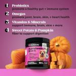 10-in-1 Dog Multivitamin Supplement with Glucosamine & Probiotics - Hip & Joint Support, Digestive Health, Immune Support, Heart & Skin - All-in-One Daily Vitamins & Omega-3s (Peanut Butter, 90 ct)