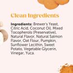 Dog Allergy Relief Immunity Chews - Paw Licking, Itching & Seasonal Allergies - with Colostrum, Probiotics, Turmeric & Salmon Oil - Vet Recommended Anti-Itch Supplement for Dogs (Salmon, 90 Ct)