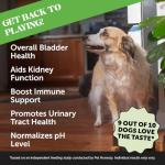 Cranberry Bladder Support Chews for Dogs