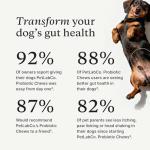 Salmon Probiotics for Dogs - 30 Soft Chews
