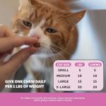 Crunchy Cat Multivitamins for Health and Wellness