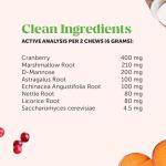 Cranberry Bladder Support Chews for Dogs
