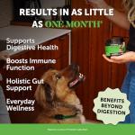 Dog Probiotics with Prebiotics for Gut Health