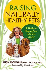 Healthier Pets: Simple Tips for a Longer Life