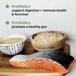 Cat Probiotics Chews for Gut and Immune Health