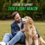 Nutramax Welactin Omega 3 Fish Oil for Dogs