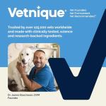Vetnique Glandex Pumpkin Chews for Dog Digestion