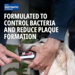 Enzymatic Pet Toothpaste for Tartar Control