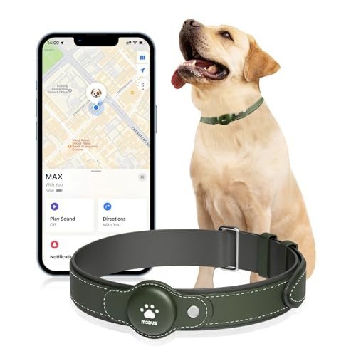 2-in-1 GPS Dog Collar Tracker for All Sizes