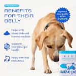 Dog Probiotic Powder for Gut Health – 60 Scoops