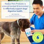 Dog Probiotic Powder for Gut Health – 60 Scoops