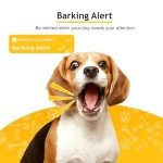 Smart Pet Camera with Treat Dispenser and 360° View