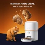 Yuposl 2L Automatic Cat Feeder with Steel Bowl
