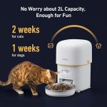Yuposl 2L Automatic Cat Feeder with Steel Bowl