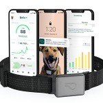 Whistle Switch GPS Tracker and Health Monitor for Dogs
