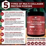 Premium Multi Collagen Peptides for Youthful Skin