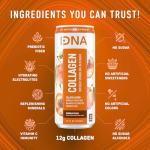 HydraDNA Sparkling Collagen Drink - Georgia Peach